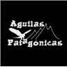 Aguilas Patagónicas