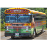 Belize Bus