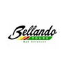 BELLANDO TOURS S.r.l.