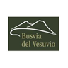 Busvia del Vesuvio