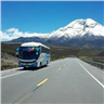 Cooperativa De Transportes El Dorado