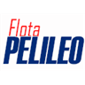 Flota Pelileo
