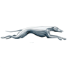 Greyhound Mexico