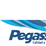 Pegasso