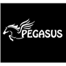 PEGASUS GROUP Ltd.