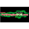 Port Douglas Bus