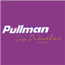 Pullman Bus Lago Penuelas