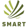 Smart