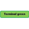 Terminal Green