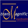 TransMagnific