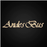 Transporte Andes Bus