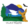 Vultur Patagonia