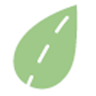 Autobuses FDN