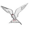 Sterna