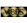 Vibes Travel & Tours LLC