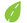 Autobuses FDN
