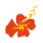 Air Caledonie International