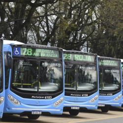 Bus Fleet Bus Fleet