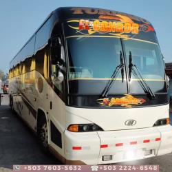 Bus Exterior Bus Exterior