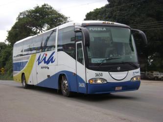 Bus exterior Bus exterior