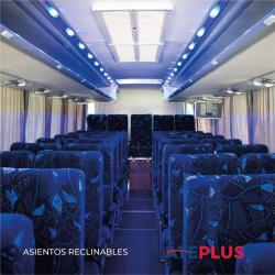 Bus Interior Bus Interior