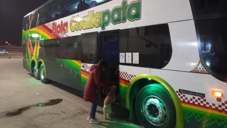 Bus exterior Bus exterior