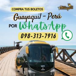 Bus Interior Bus Interior