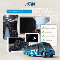 Bis Interior Bis Interior