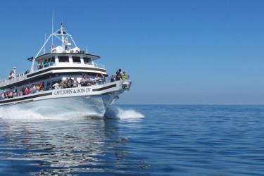 Fast Ferry to PTown Fast Ferry to PTown