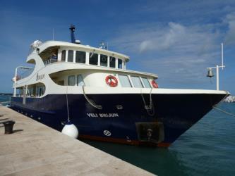 Veli Brijun Veli Brijun