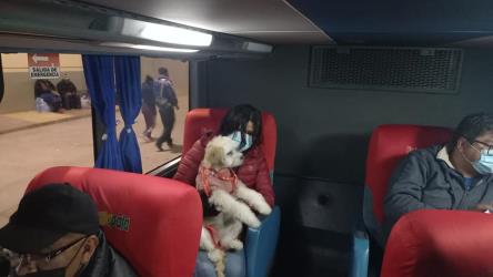 Bus interior Bus interior