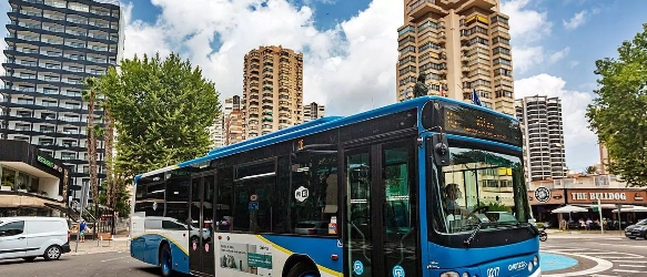 Bus side and front view Bus side and front view
