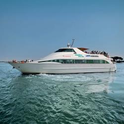 Delfino Ferry Delfino Ferry