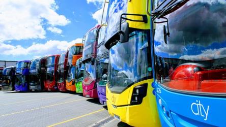The colourful bus fleet