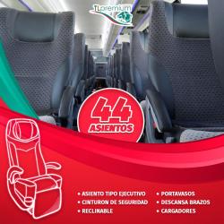 Bus Interior Bus Interior