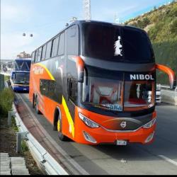 Bus exterior Bus exterior