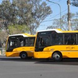 Buses fleet Buses fleet