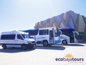 Bus exterior Bus exterior