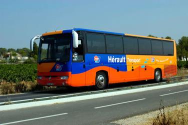 Herault Transport Bus