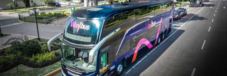 Bus exterior Bus exterior