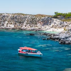 The Rottnest Express The Rottnest Express