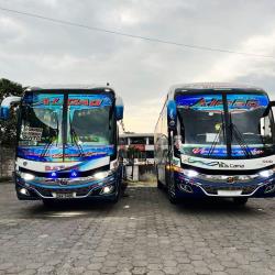 Bus Exterior Bus Exterior