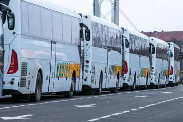 Fleet of Kautra buses
