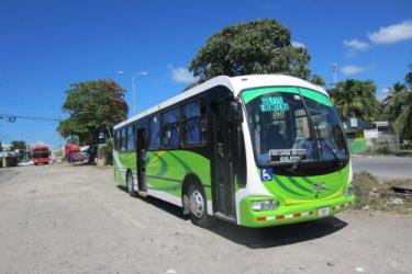 Bus exterior Bus exterior