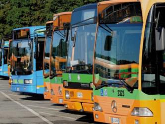 Fleet of buses Fleet of buses
