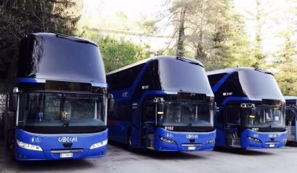 New Cotral buses view New Cotral buses view