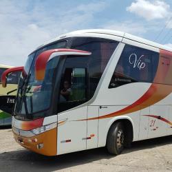 Bus exterior Bus exterior