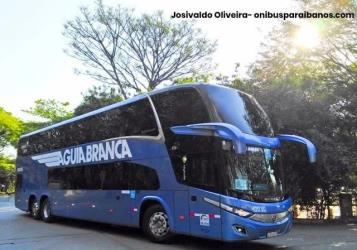 Aguia Branca Aguia Branca