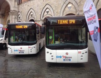 Siena buses