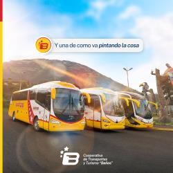 Buses fleet Buses fleet